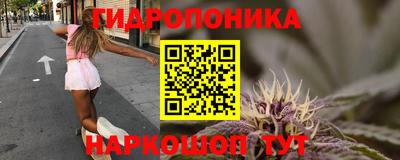 крисы Пушкино