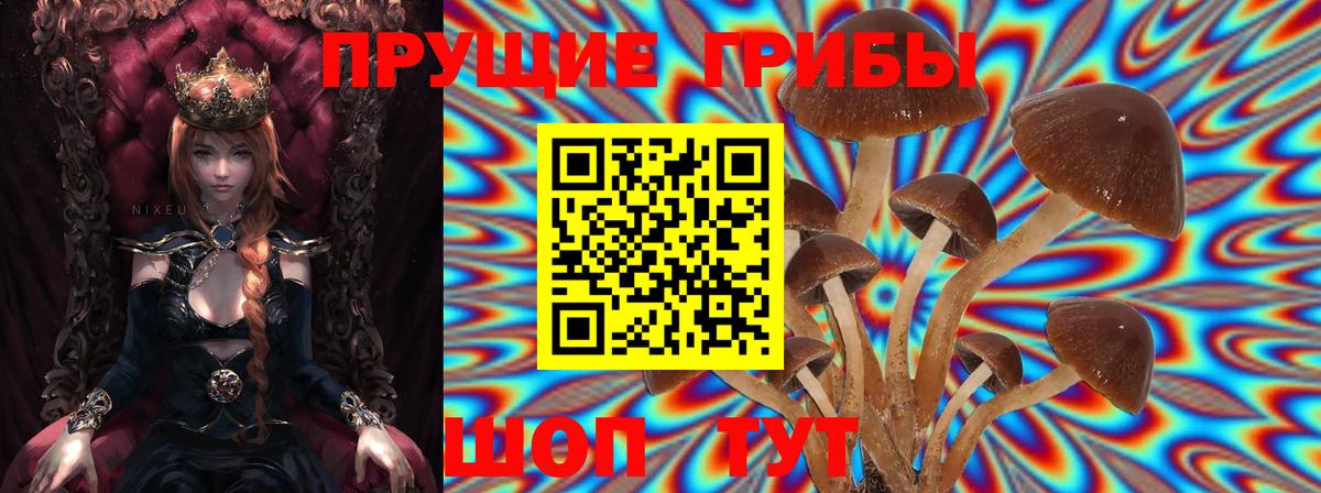 Псилоцибиновые грибы MAGIC MUSHROOMS Северобайкальск
